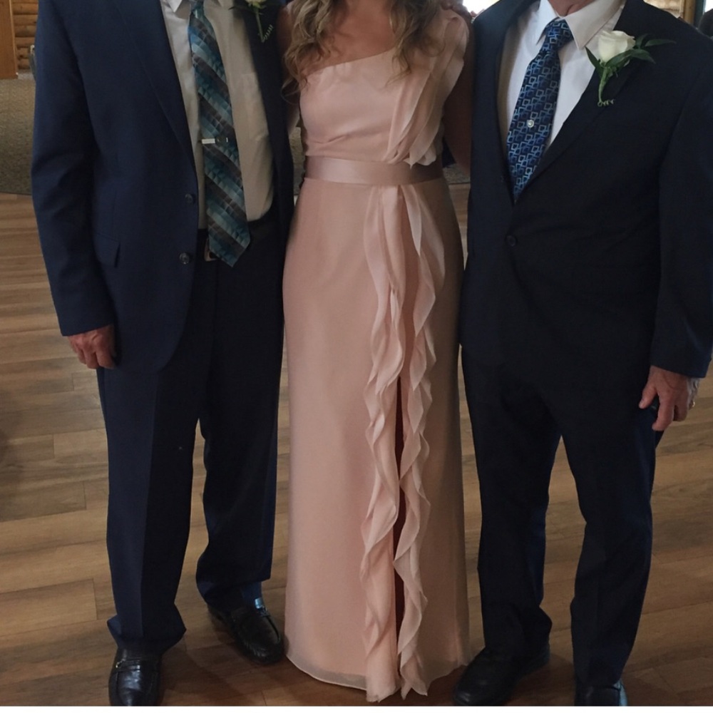 Blush Vera Wang Dress